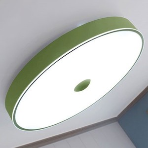[스킨]LED 거실등[그린][천정등/거실등/인테리어조명/예쁜거실등/방등/침실등/실내등/천장등]